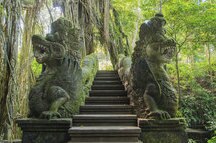 ubud monkey forest ubud monkey forest