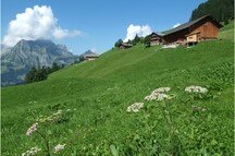 Beautiful Landscape in Engelberg, Switzerland Beautiful Landscape in Engelberg, Switzerland