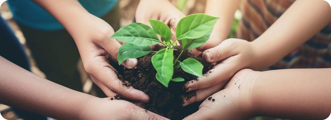Seeds of Change Project
