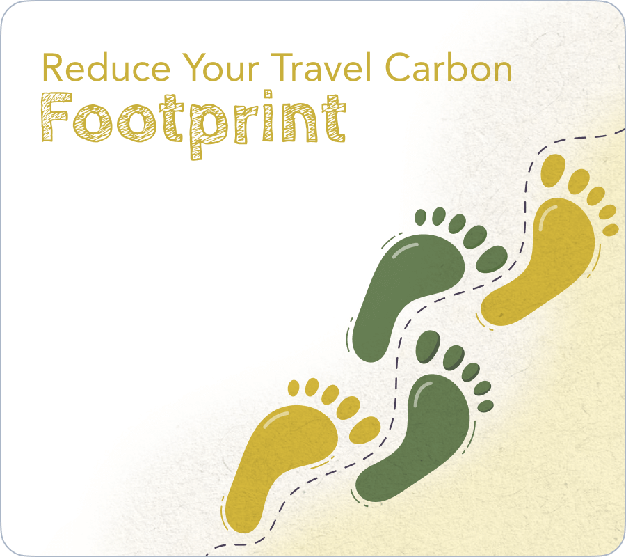 Carbon Footprint