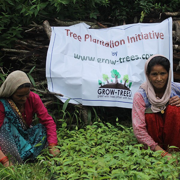 Plantation in sikkim and uttarakhand www makemytrip